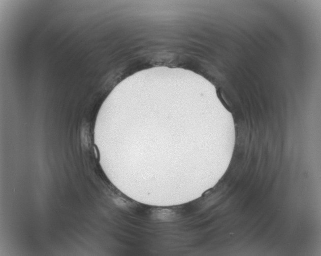 X0000063520287200602172223