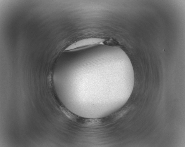 X0000063520288200602172223