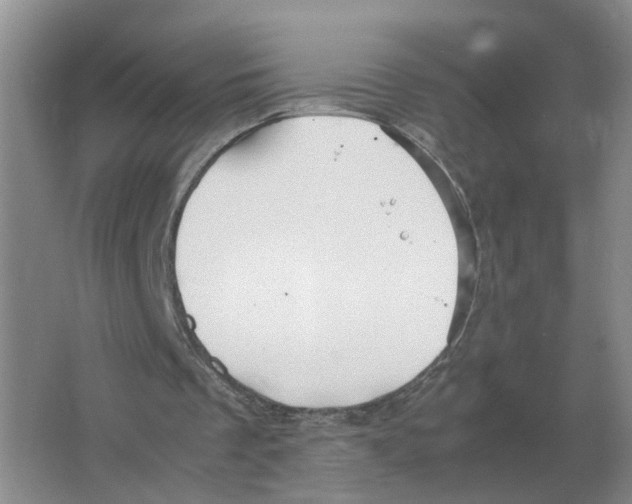 X0000063520289200602172222