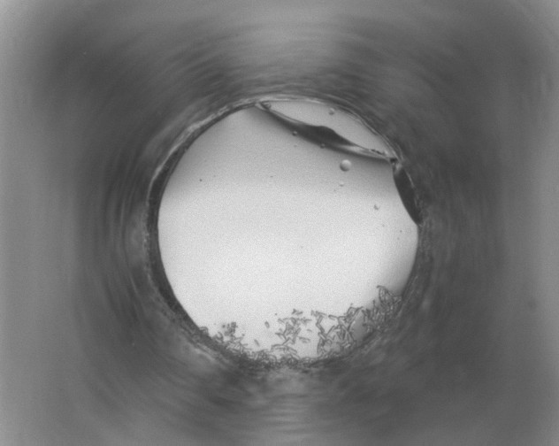 X0000063520290200602172222