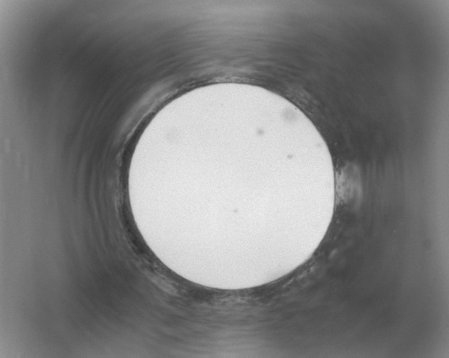 X0000063520291200602172222