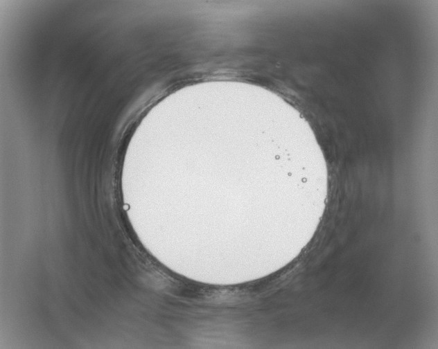 X0000063520293200602172222