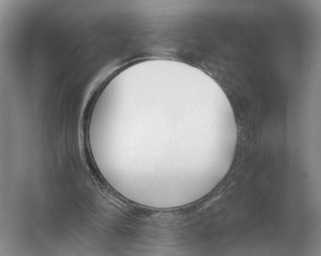 X0000063520294200602172222