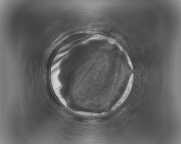 X0000063520295200602172222