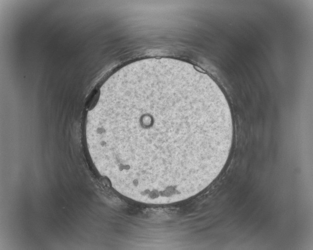 X0000063520297200602172222