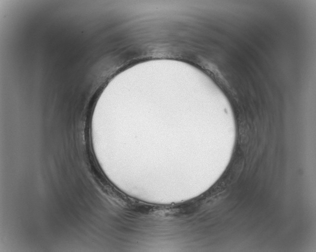 X0000063520299200602172222