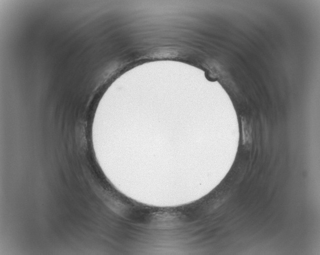 X0000063520300200602172222