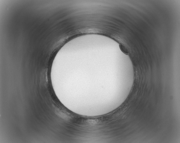 X0000063520302200602172222