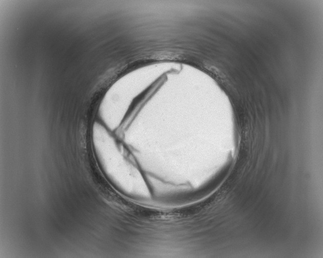 X0000063520303200602172222