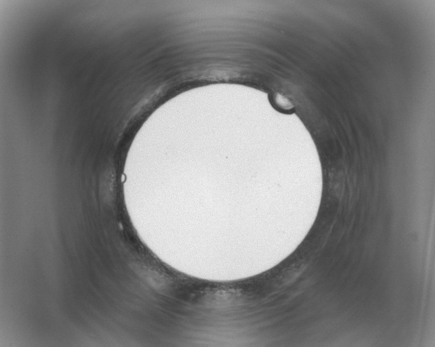 X0000063520304200602172222