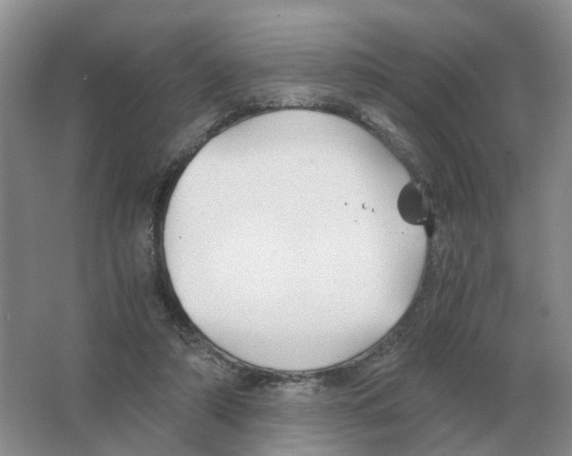 X0000063520306200602172222