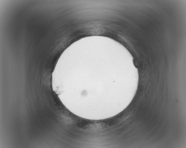 X0000063520307200602172222