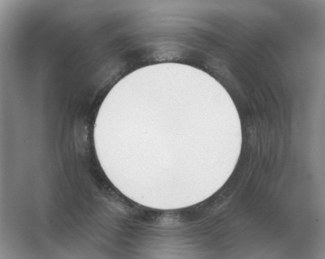 X0000063520308200602172222