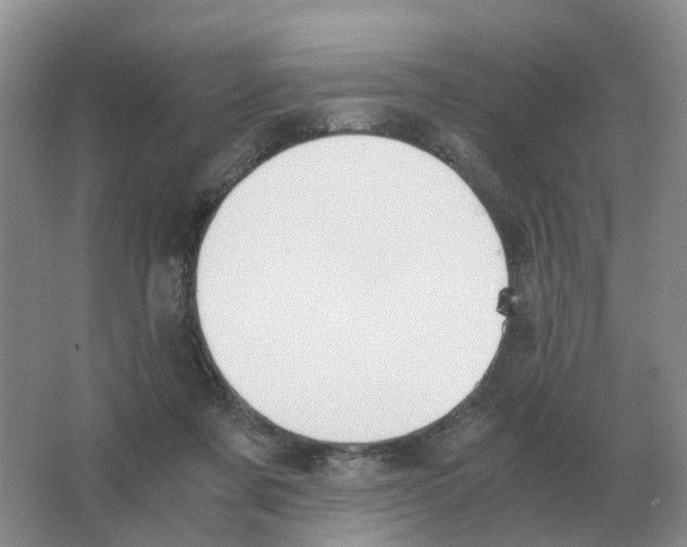 X0000063520311200602172222