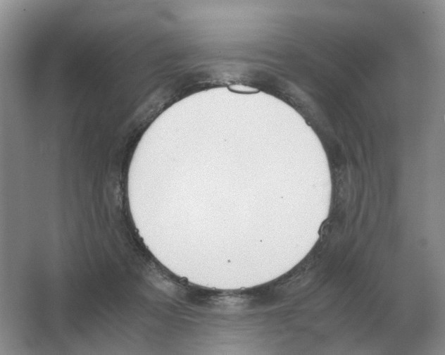 X0000063520313200602172222