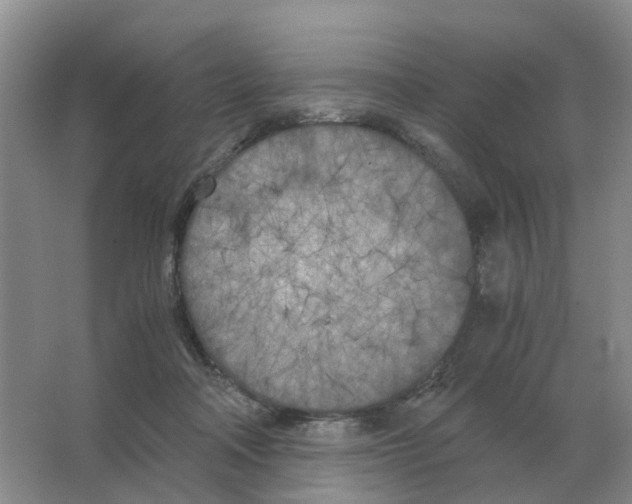 X0000063520314200602172222