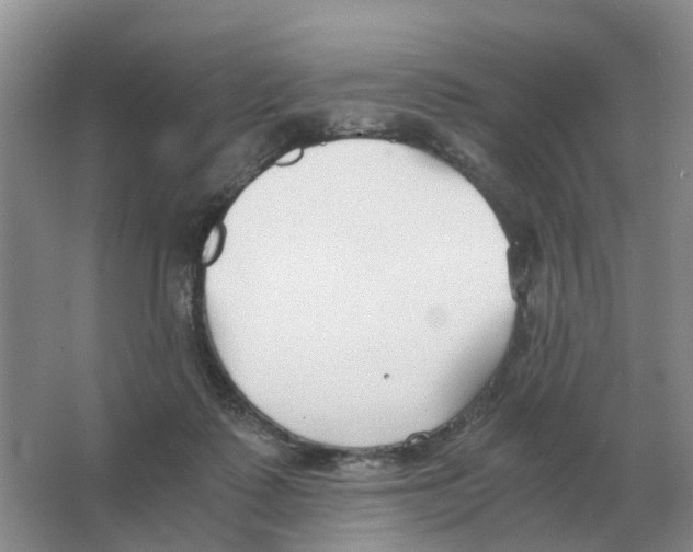 X0000063520315200602172222