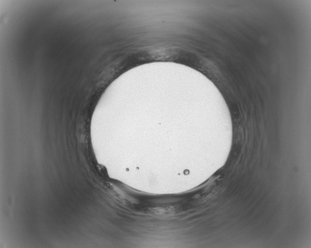 X0000063520317200602172222