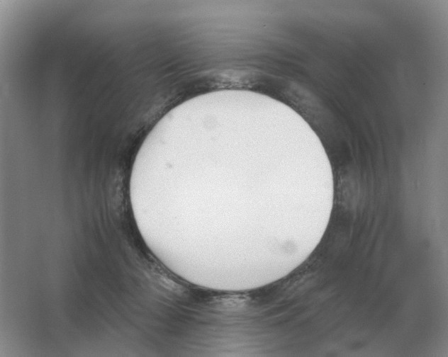 X0000063520318200602172222