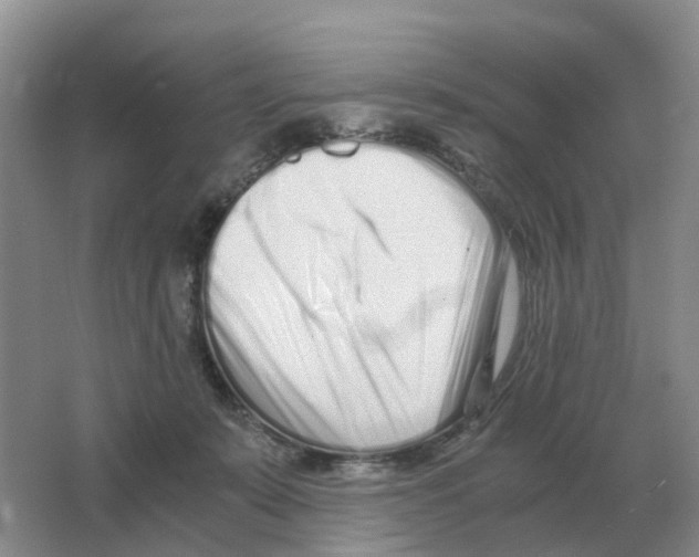 X0000063520319200602172221