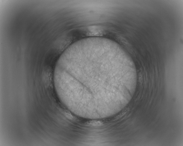 X0000063520322200602172221