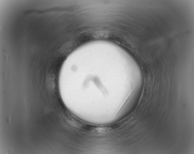 X0000063520323200602172221