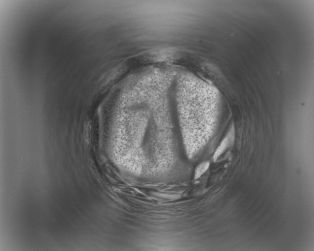 X0000063520325200602172221