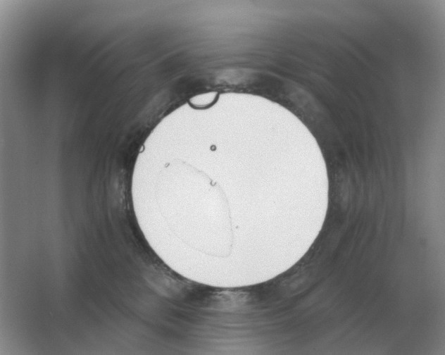 X0000063520328200602172221