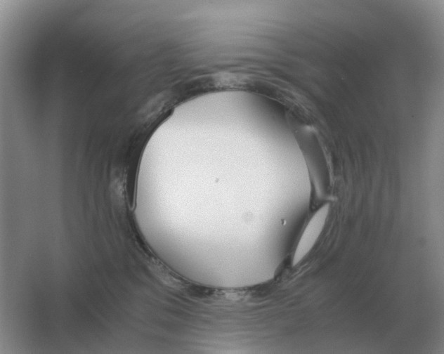 X0000063520329200602172221