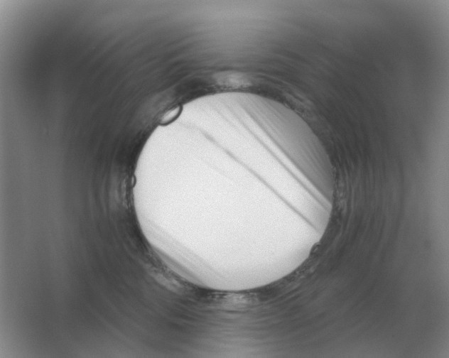 X0000063520330200602172221