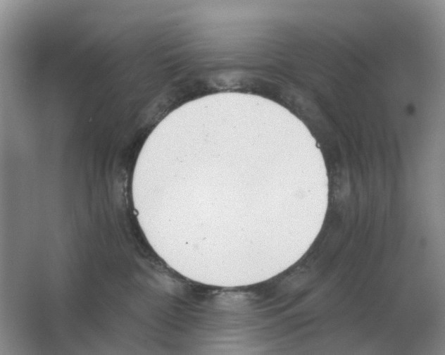 X0000063520332200602172221