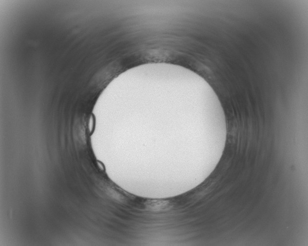 X0000063520334200602172221