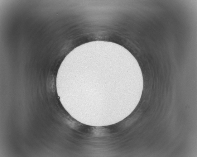 X0000063520336200602172221