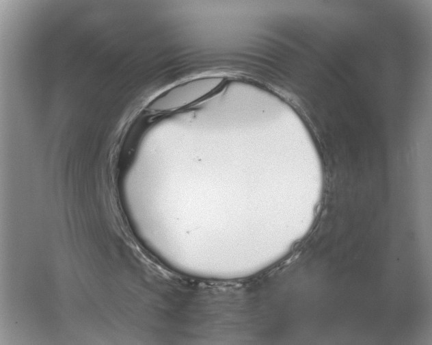 X0000063520337200602172220