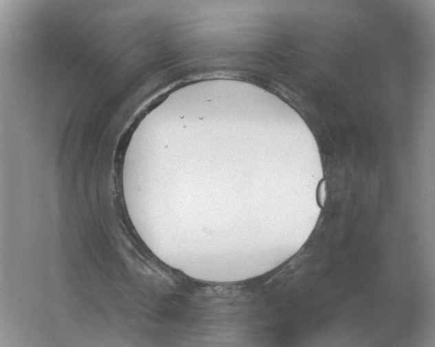 X0000063520338200602172220