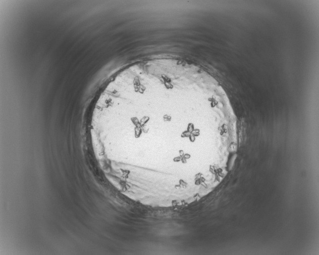 X0000063520339200602172220