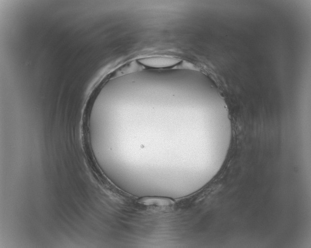 X0000063520340200602172220