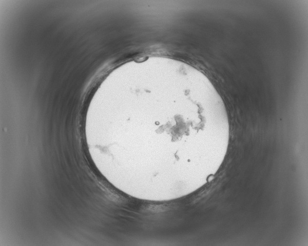 X0000063520341200602172220