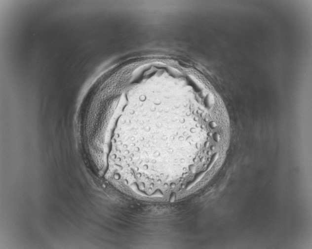 X0000063520343200602172220