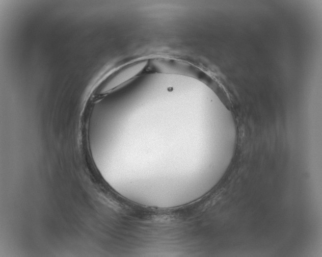 X0000063520344200602172220