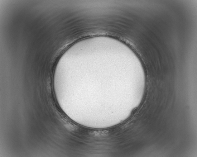 X0000063520345200602172220