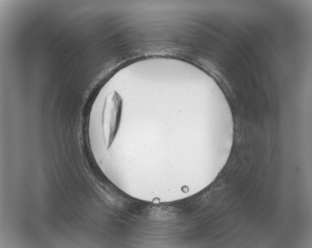 X0000063520346200602172220