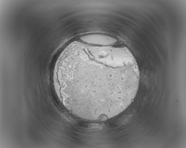 X0000063520347200602172220