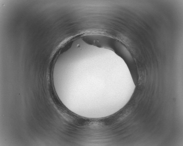 X0000063520348200602172221