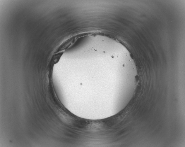 X0000063520350200602172221