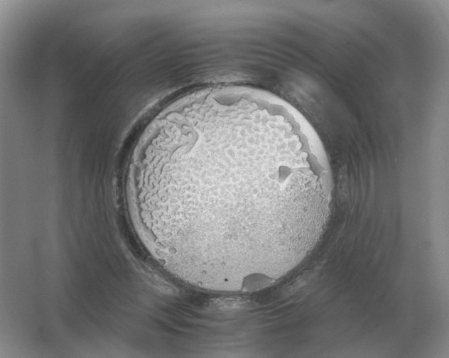 X0000063520351200602172221