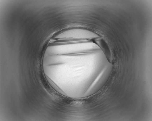 X0000063520352200602172221