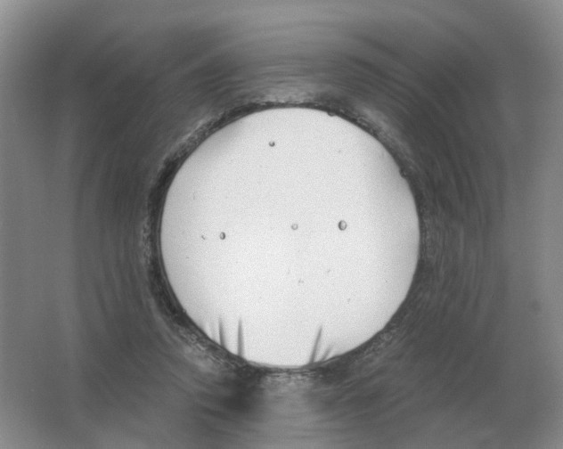 X0000063520354200602172221