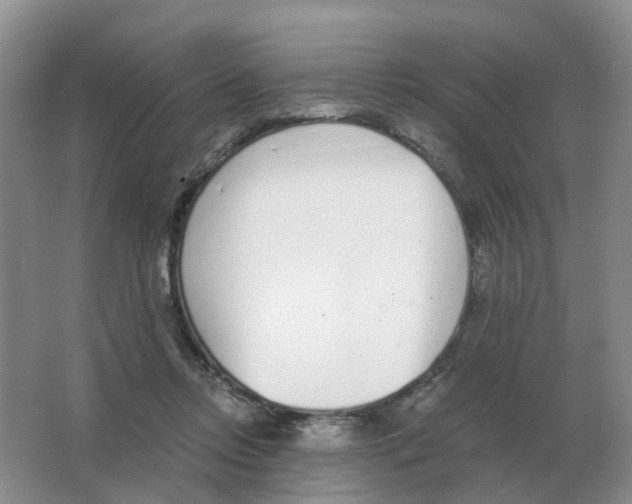 X0000063520358200602172221