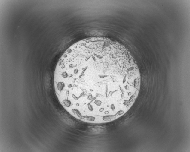 X0000063520359200602172221